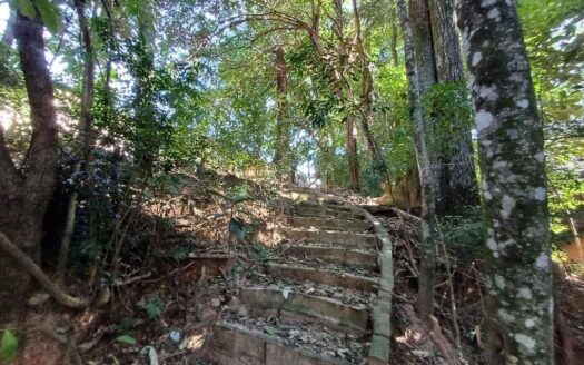 VENDA-TERRENO-PARQUE DAS ARVORES-COD 697